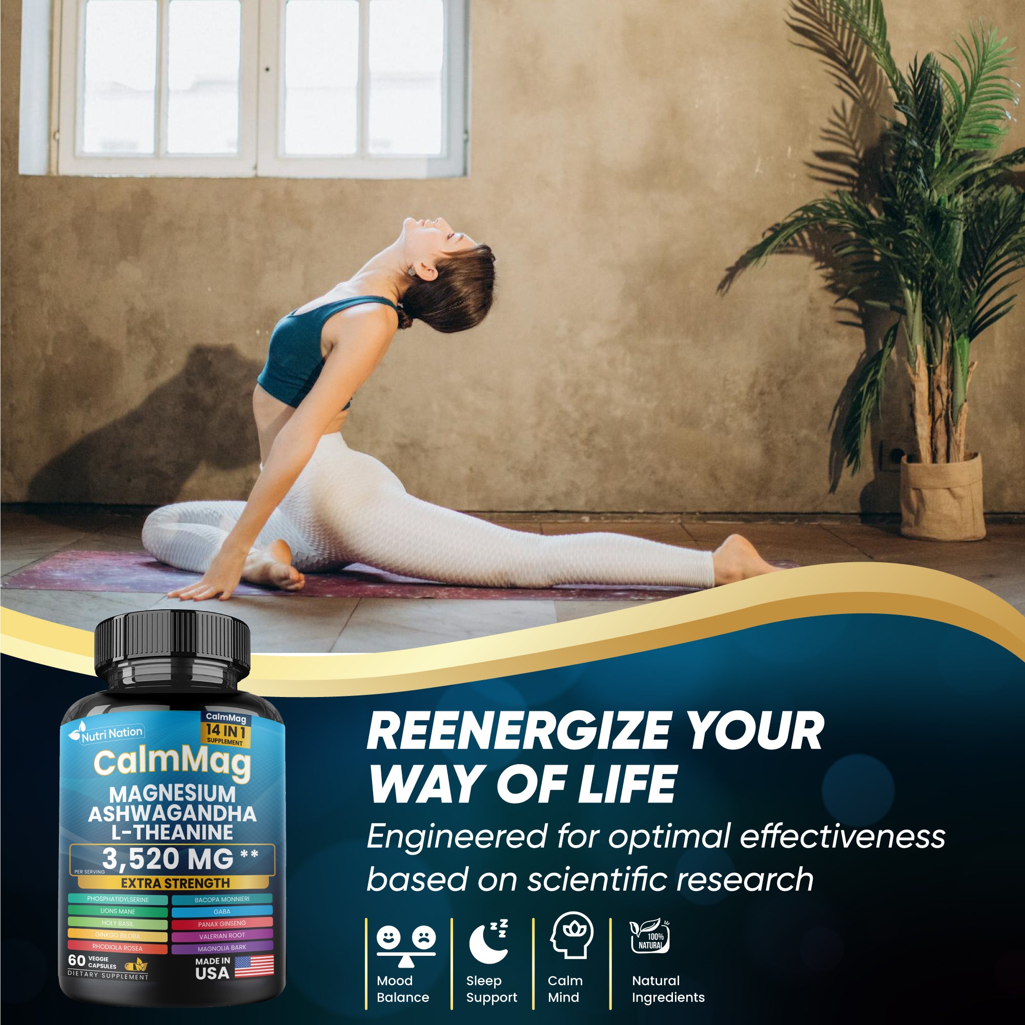 Best Magnesium Glycinate with Ashwagandha and L-Theanine 14 in 1 Supplement 60 Capsules