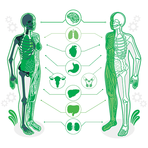 Collagen Peptides Capsules supplement for skin, hair, nails, joints, and bone health – hydrolyzed collagen for better absorption, anti-aging beauty and wellness support for adults – 90 capsules bottle